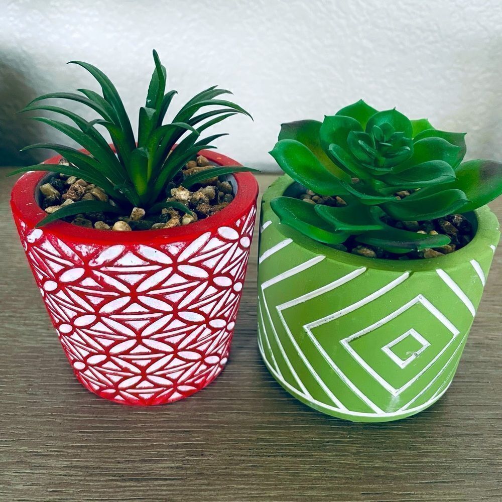 2-pc Boho Succulent Greenery Potted Plants Lot
